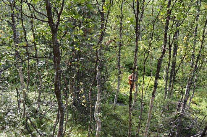 Location of the Snow Shelter